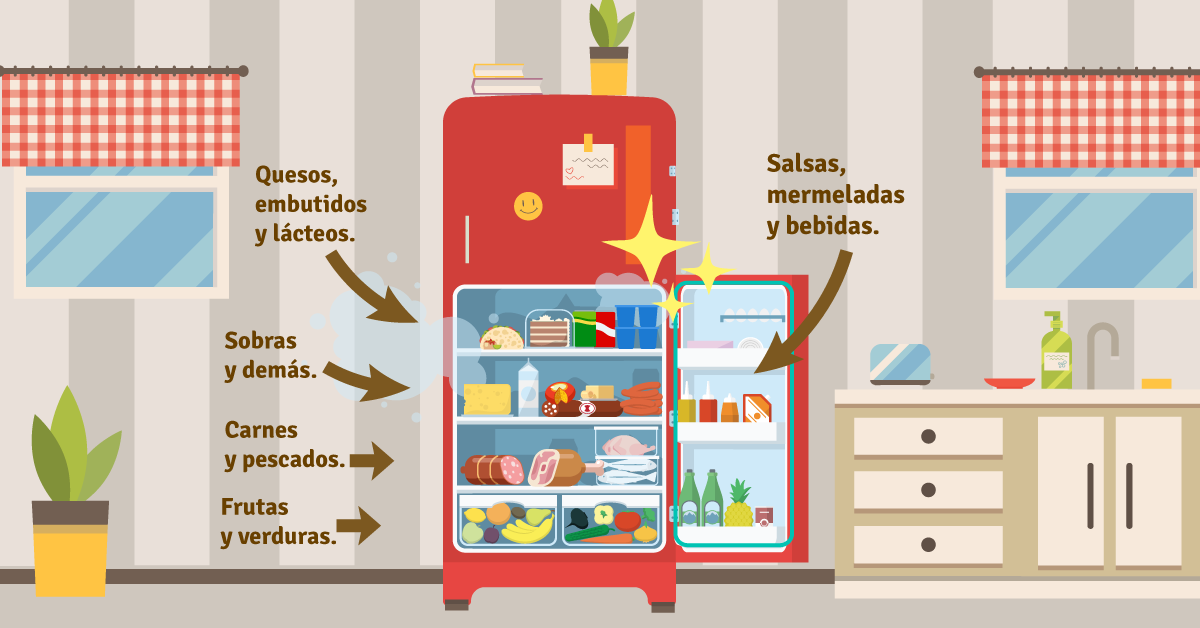 ¿cómo Organizar El Refrigerador Para Conservar Tus Alimentos Granvita